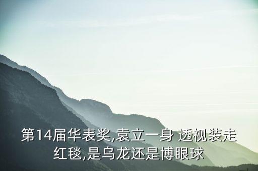 第14屆華表獎(jiǎng),袁立一身 透視裝走紅毯,是烏龍還是博眼球