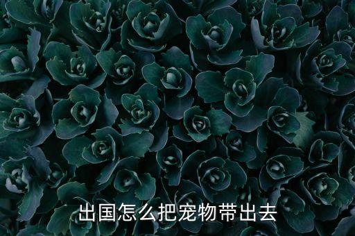 出國(guó)怎么把寵物帶出去