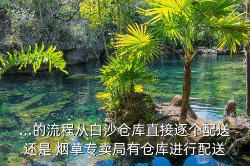 ...的流程從白沙倉庫直接逐個(gè)配送還是 煙草專賣局有倉庫進(jìn)行配送