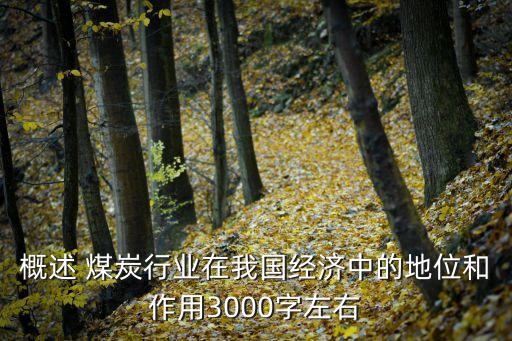 概述 煤炭行業(yè)在我國經(jīng)濟中的地位和作用3000字左右
