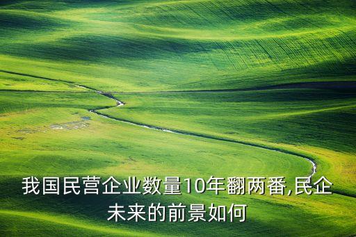 中國民間資本有多少,2020年中國有多少民間資本