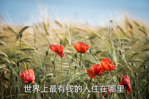 世界上最有錢的人住在哪里