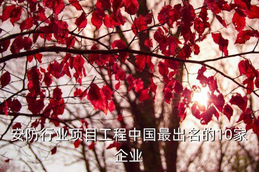 安防行業(yè)項(xiàng)目工程中國(guó)最出名的10家企業(yè)