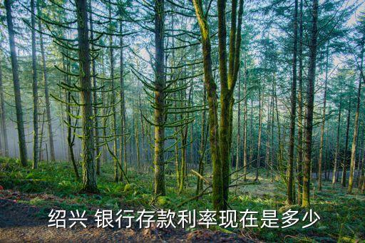 紹興銀行保本理財產(chǎn)品,現(xiàn)在銀行還有保本理財產(chǎn)品嗎