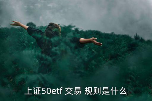 基金交易規(guī)則及特點(diǎn),511360基金交易規(guī)則