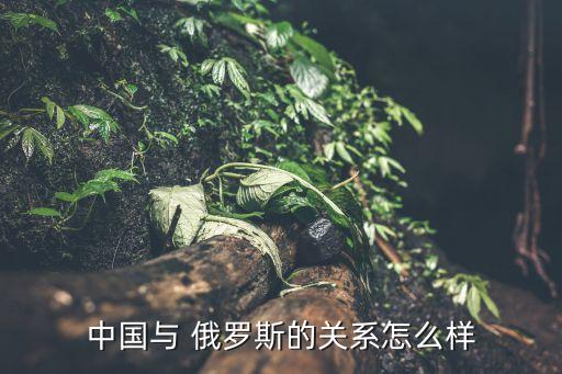 中國(guó)與 俄羅斯的關(guān)系怎么樣