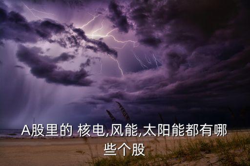 美國(guó)核電上市公司