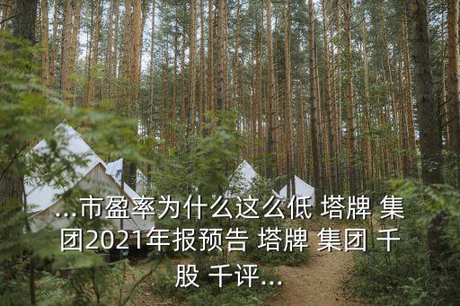 塔牌集團(tuán)千股千評(píng)