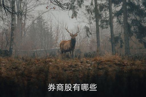 券商股有哪些