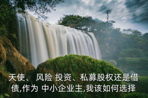 天使、 風(fēng)險(xiǎn) 投資、私募股權(quán)還是借債,作為 中小企業(yè)主,我該如何選擇
