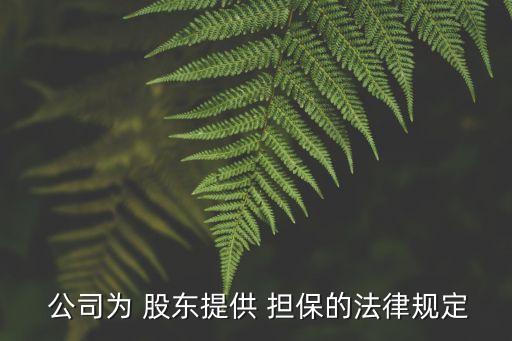 股東對公司擔保,股東公司擔保算不算第三方擔保