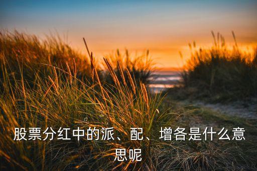  股票分紅中的派、配、增各是什么意思呢
