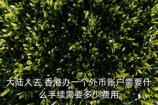 大陸人去 香港辦一個(gè)外幣賬戶需要什么手續(xù)需要多少費(fèi)用