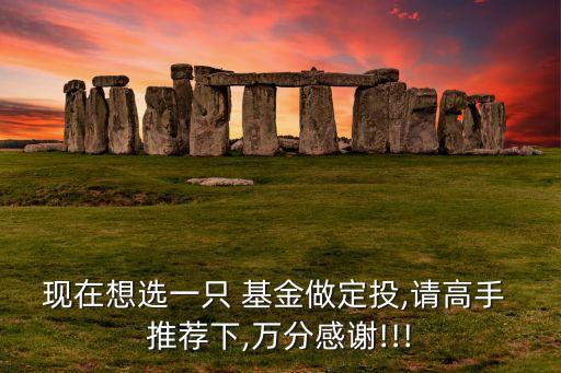 現(xiàn)在想選一只 基金做定投,請高手 推薦下,萬分感謝!!!