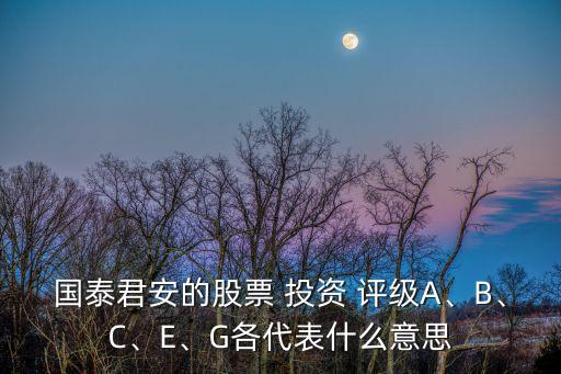 國泰君安的股票 投資 評級A、B、C、E、G各代表什么意思