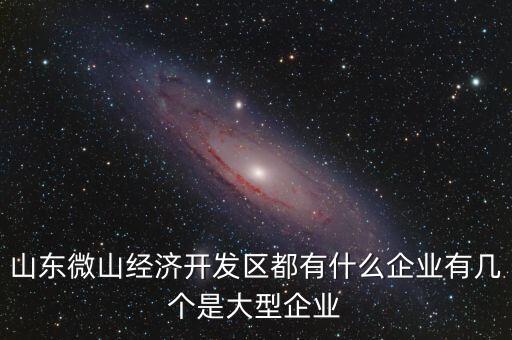 山東微山經濟開發(fā)區(qū)都有什么企業(yè)有幾個是大型企業(yè)