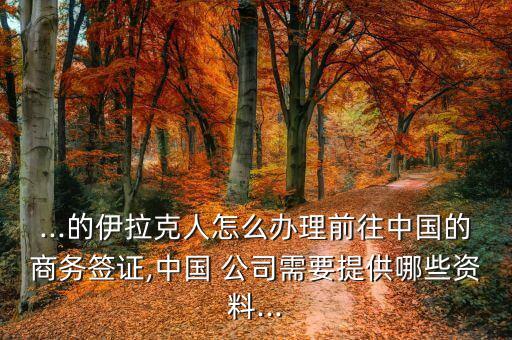 ...的伊拉克人怎么辦理前往中國(guó)的商務(wù)簽證,中國(guó) 公司需要提供哪些資料...