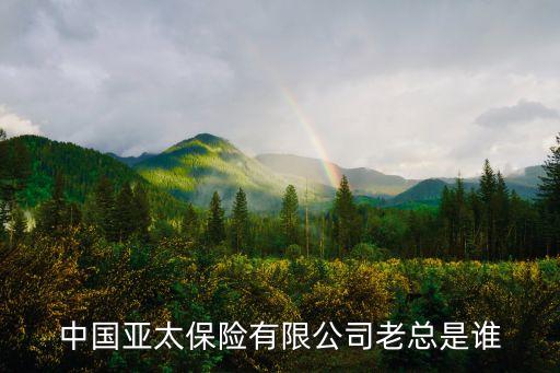 中國(guó)亞太保險(xiǎn)有限公司老總是誰