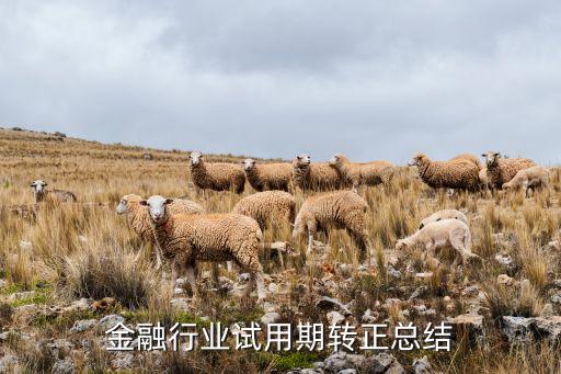 金融行業(yè)試用期轉(zhuǎn)正總結(jié)