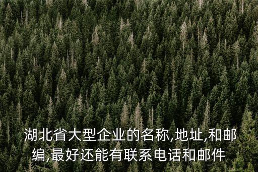  湖北省大型企業(yè)的名稱(chēng),地址,和郵編,最好還能有聯(lián)系電話和郵件