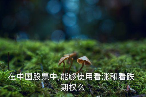 中國(guó)有個(gè)股期權(quán)嗎,個(gè)股期權(quán)有哪些股票
