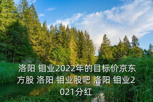 洛陽(yáng)鉬業(yè)股票是哪家上市公司股票