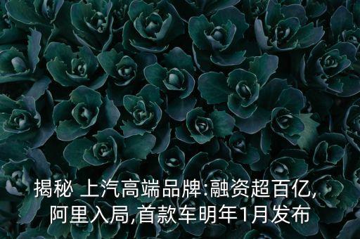 阿里上汽互聯(lián)網(wǎng)汽車公司,上汽大通互聯(lián)網(wǎng)汽車登錄怎么登錄