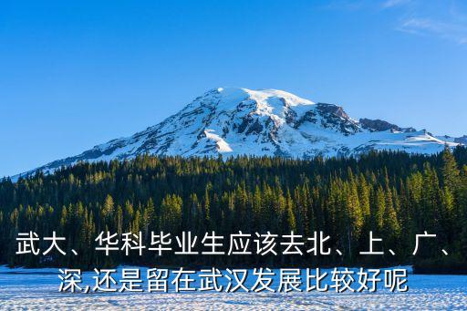 武大、華科畢業(yè)生應(yīng)該去北、上、廣、深,還是留在武漢發(fā)展比較好呢