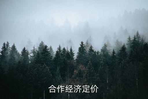 中國合作經(jīng)濟定價
