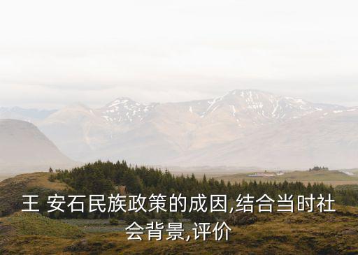 王 安石民族政策的成因,結(jié)合當時社會背景,評價