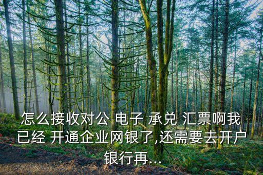 怎么接收對(duì)公 電子 承兌 匯票啊我已經(jīng) 開(kāi)通企業(yè)網(wǎng)銀了,還需要去開(kāi)戶(hù) 銀行再...
