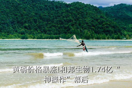 黃磷價(jià)格暴漲!和邦生物1.74億“神操作”幕后