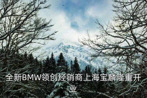 全新BMW領(lǐng)創(chuàng)經(jīng)銷(xiāo)商上海寶麟隆重開(kāi)業(yè)