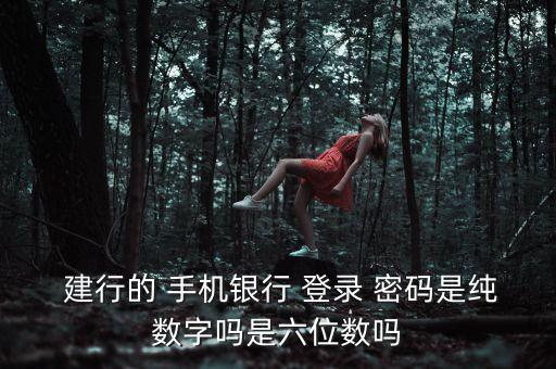 建行手機(jī)銀行登錄密碼幾位數(shù)