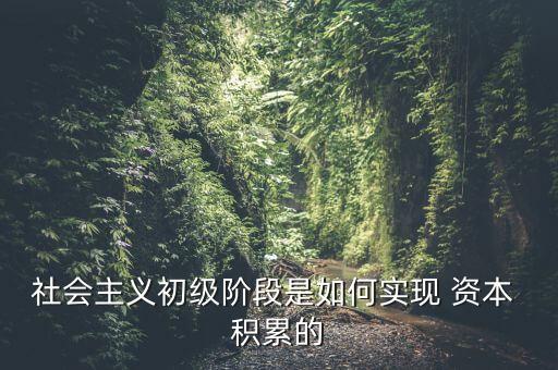 社會主義初級階段是如何實(shí)現(xiàn) 資本 積累的
