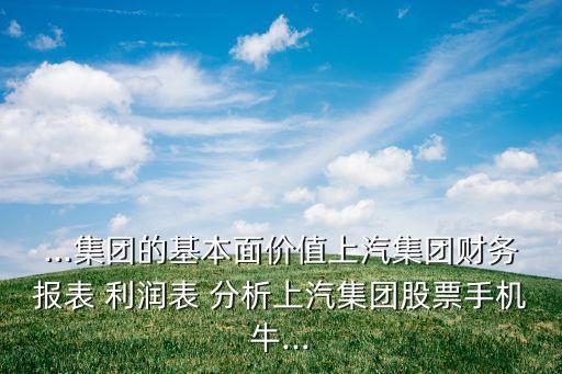 ...集團(tuán)的基本面價(jià)值上汽集團(tuán)財(cái)務(wù)報(bào)表 利潤表 分析上汽集團(tuán)股票手機(jī)牛...