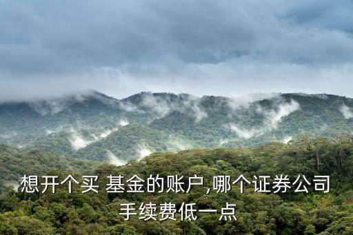 基金手續(xù)費(fèi)最低,在哪里買(mǎi)基金手續(xù)費(fèi)最低
