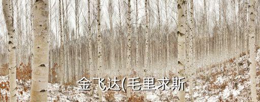 江蘇金飛達(dá)服裝股份有限公司招聘,江蘇三潤服裝集團股份有限公司招聘