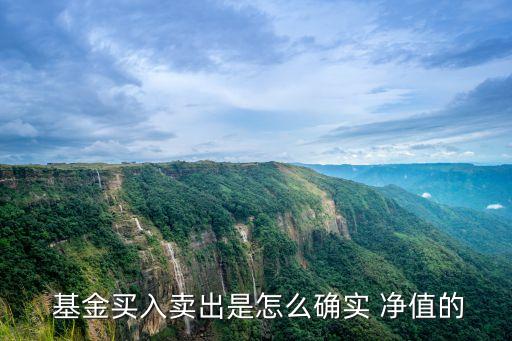  基金買入賣出是怎么確實 凈值的