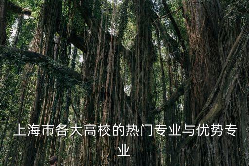  上海市各大高校的熱門(mén)專(zhuān)業(yè)與優(yōu)勢(shì)專(zhuān)業(yè)