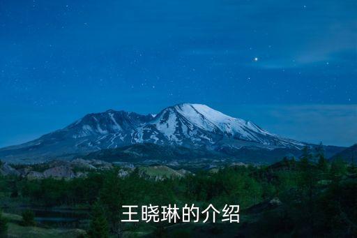  王曉琳的介紹