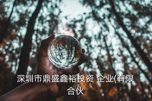 深圳市蘭光股權(quán)投資合伙企業(yè)