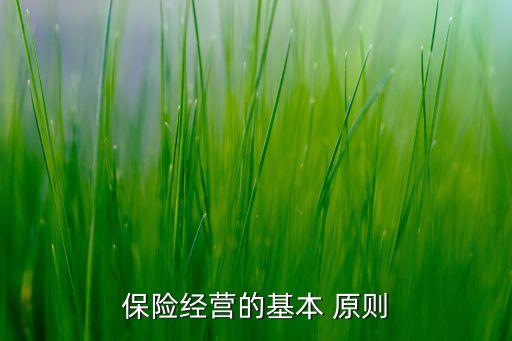 保險(xiǎn)經(jīng)營(yíng)的基本 原則