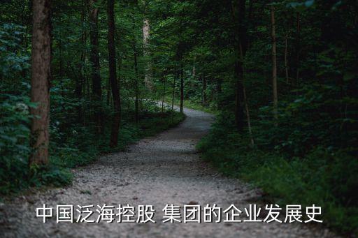 中國(guó)泛?？毓?集團(tuán)的企業(yè)發(fā)展史