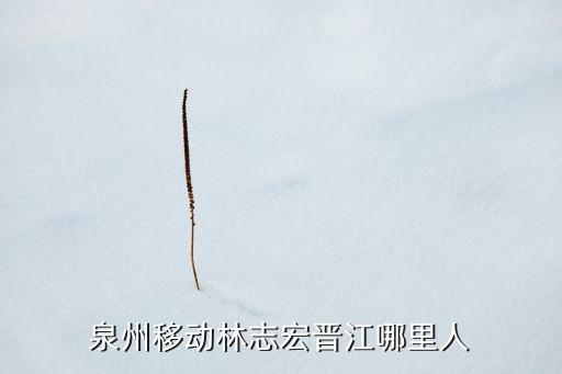 泉州移動林志宏晉江哪里人