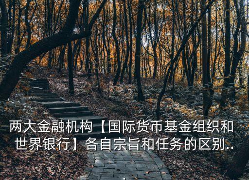 兩大金融機構【國際貨幣基金組織和 世界銀行】各自宗旨和任務的區(qū)別...