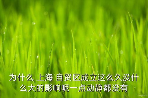為什么 上海 自貿(mào)區(qū)成立這么久沒什么大的影響呢一點動靜都沒有