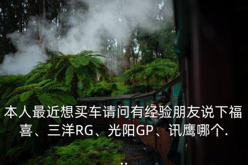 本人最近想買車請(qǐng)問有經(jīng)驗(yàn)朋友說下福喜、三洋RG、光陽GP、訊鷹哪個(gè)...