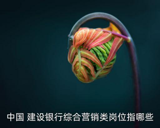 中國 建設銀行綜合營銷類崗位指哪些