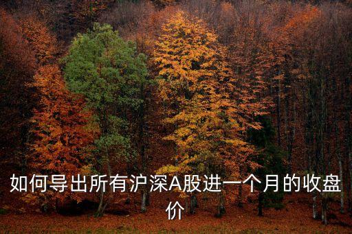 如何導(dǎo)出所有滬深A(yù)股進(jìn)一個月的收盤價(jià)